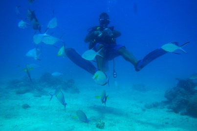 Diving at South Sea Island