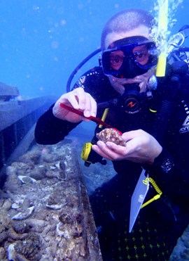 Marine Conservation Volunteering in Fiji