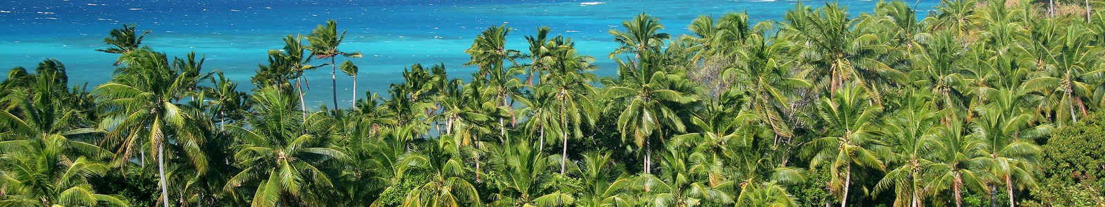 Fiji Faq2