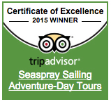 Tripadvisor Seaspray